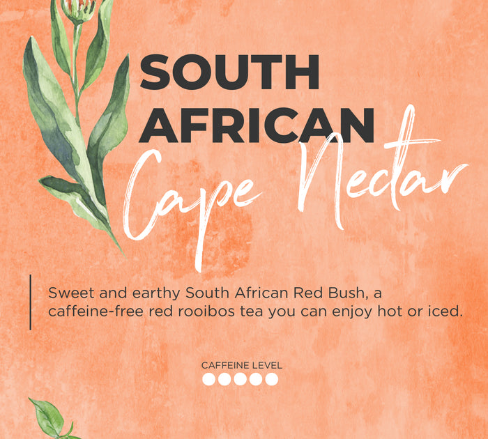 South African Cape Nectar
