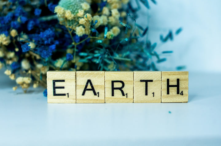Earth Month, Elevated: How Your Tea Ritual Can Be More Sustainable IngenuiTea™ Gourmet Tea & Spice Company, LLC