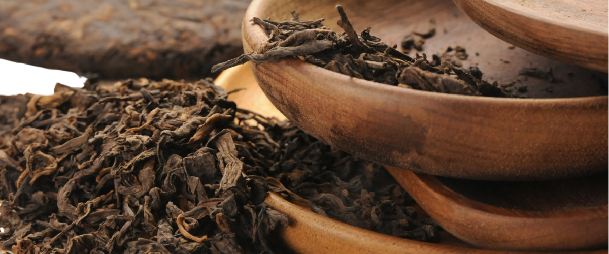 Pu’erh/Dark Tea IngenuiTea™ Gourmet Tea & Spice Company, LLC