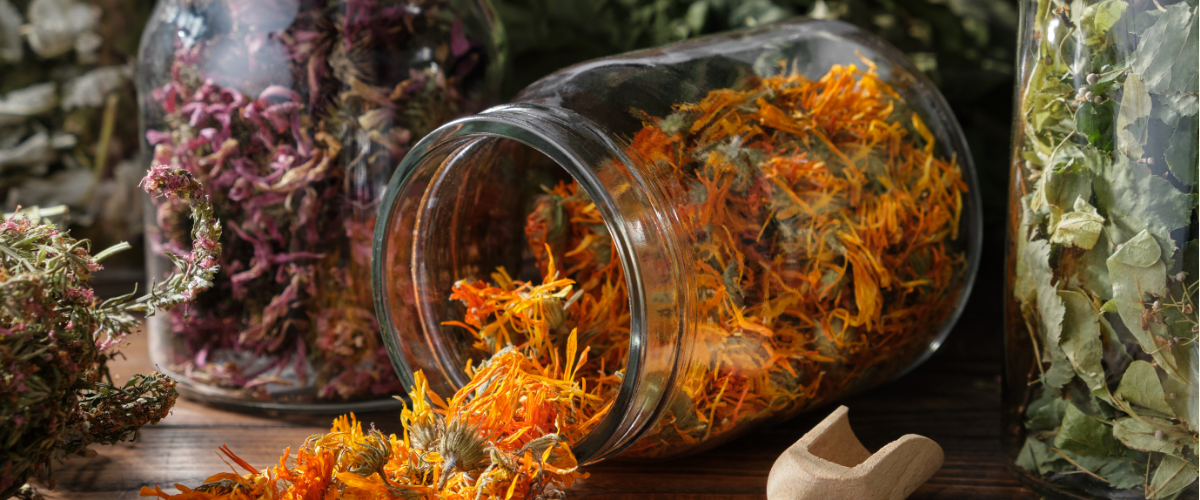 IngenuiTea Wellness Tea Bundles