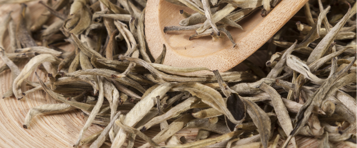 White Tea IngenuiTea™ Gourmet Tea & Spice Company, LLC