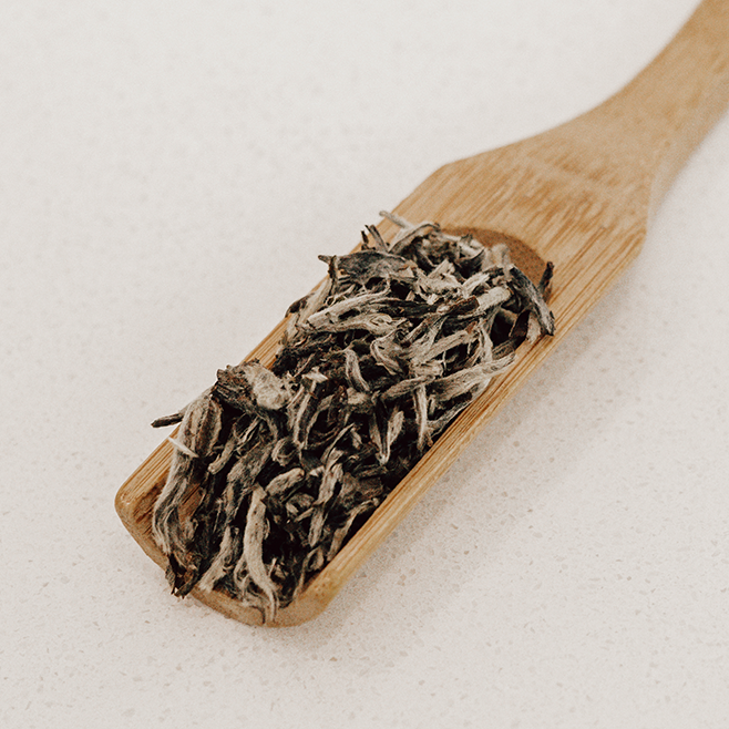 IngenuiTea™ Rich Auntie tea blend on spoon