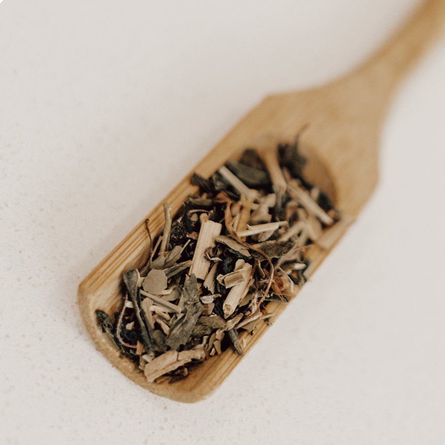 IngenuiTea™ WellSpring Energy tea blend on spoon