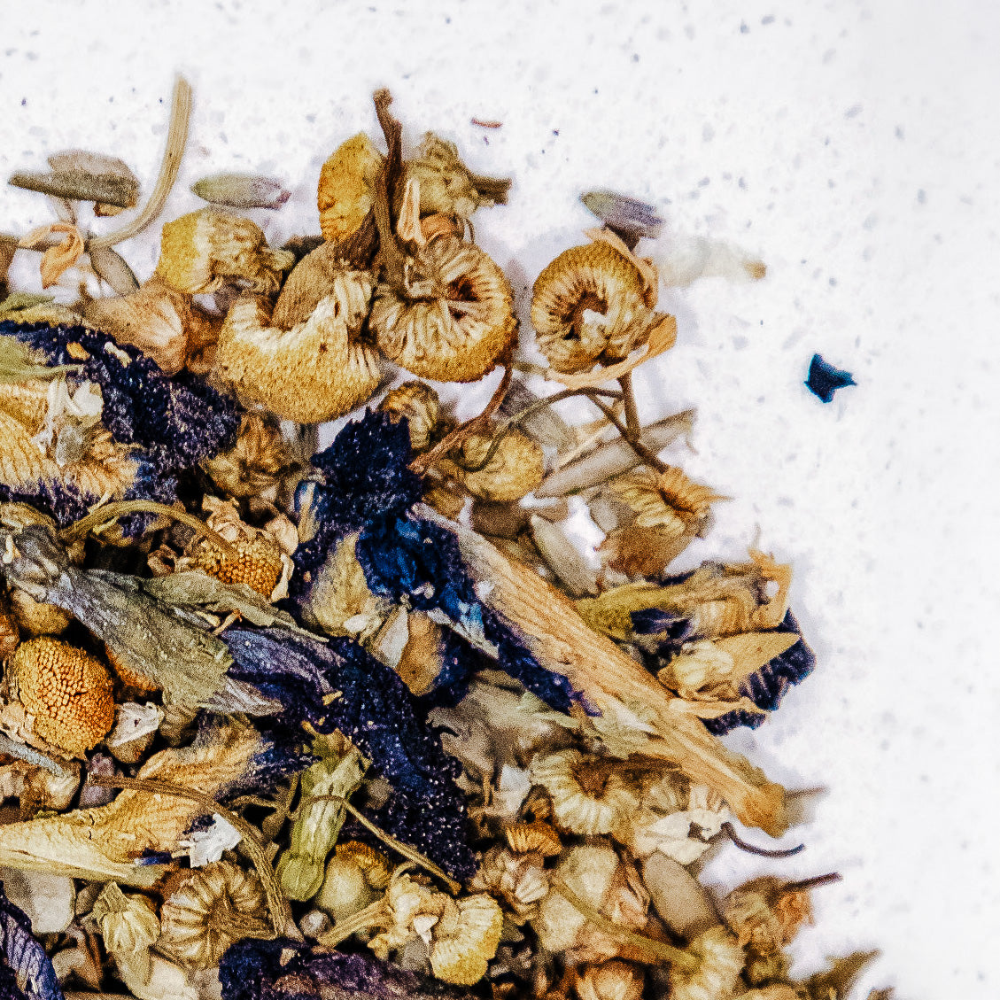 Blue Dandy IngenuiTea Gourmet Tea & Spice Company