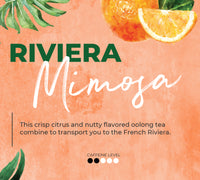 Riviera Mimosa